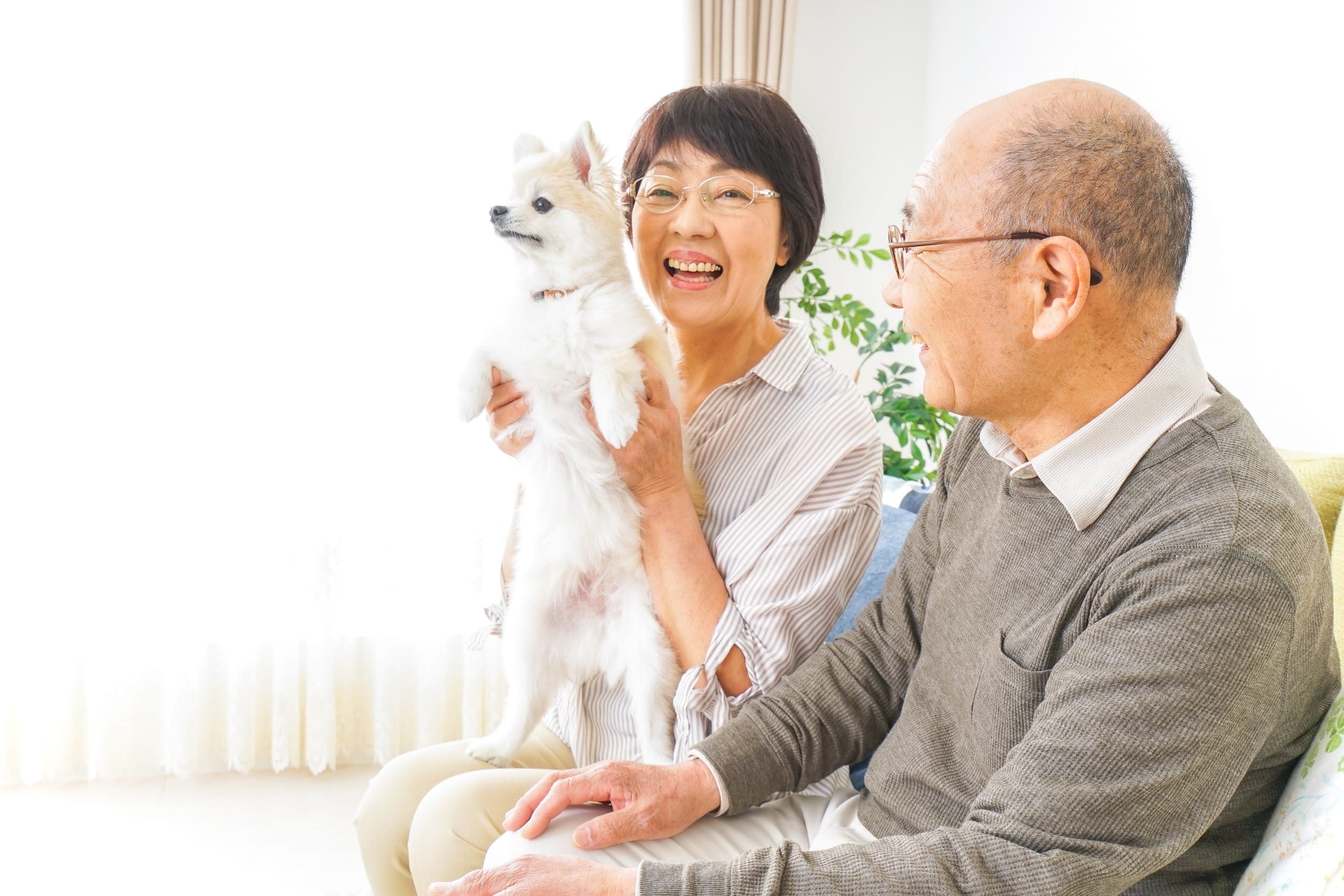 HearNest Care – Care that lifts the heart HearNest Care - Care that lifts the heart